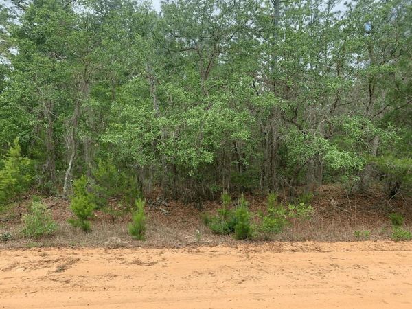 0 David Avenue, Interlachen, FL 32148