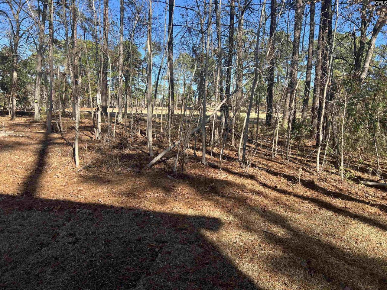 218 Quiet Side Court Photo 5