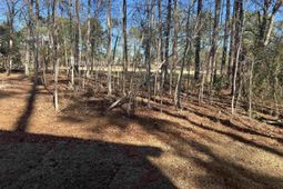 218 Quiet Side Court photo 4