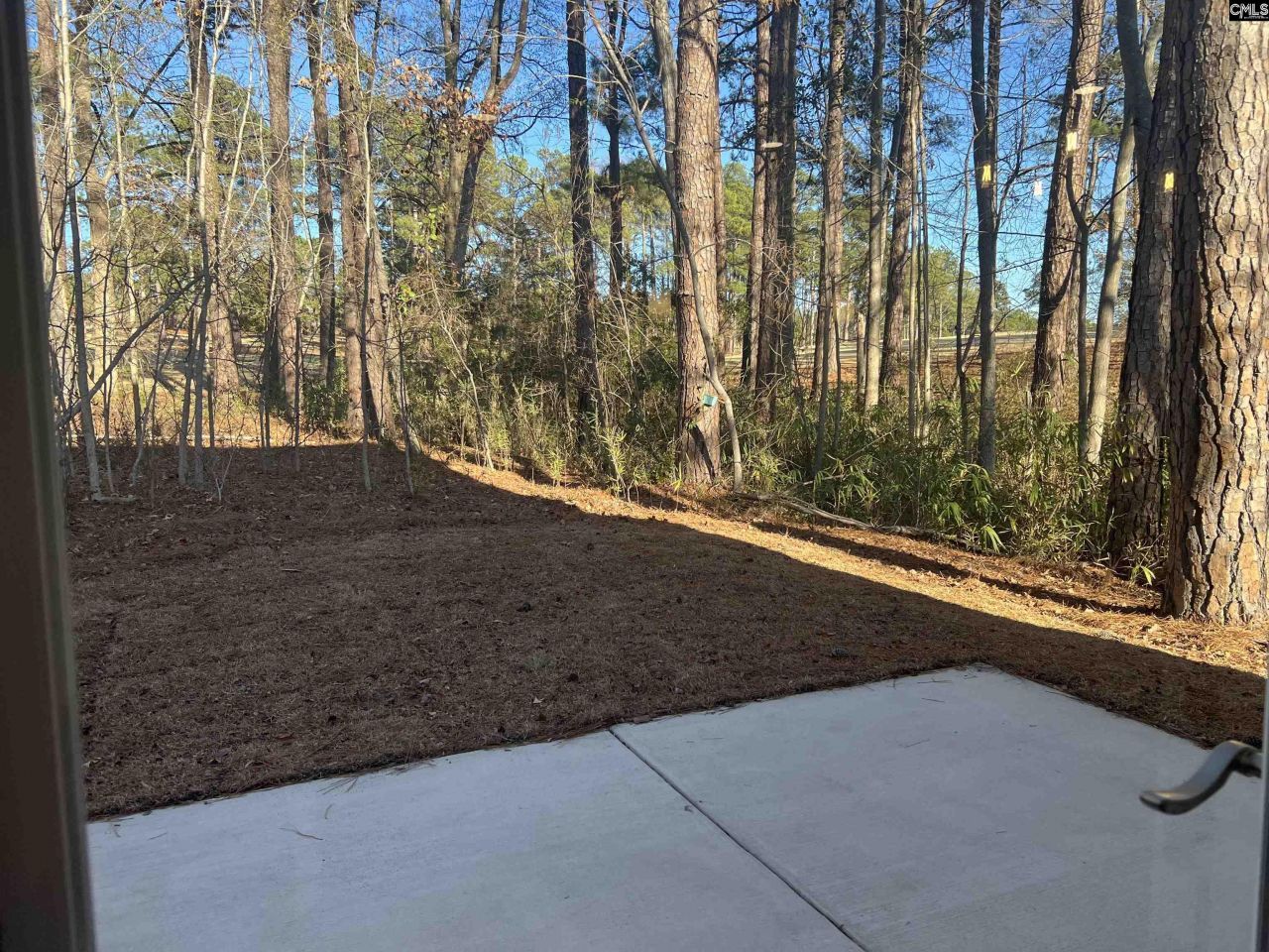 218 Quiet Side Court Photo 50