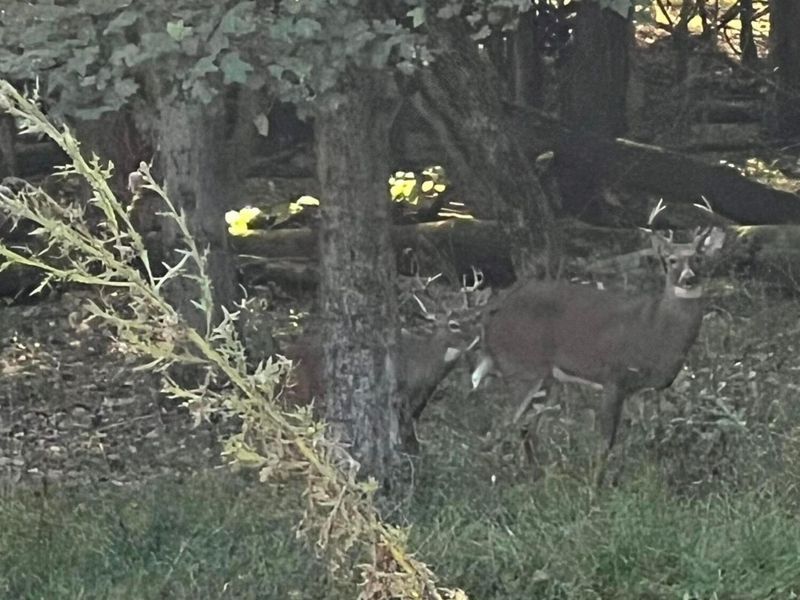 1189 Ridge Road NE, Lancaster, OH 43130 Photo 112