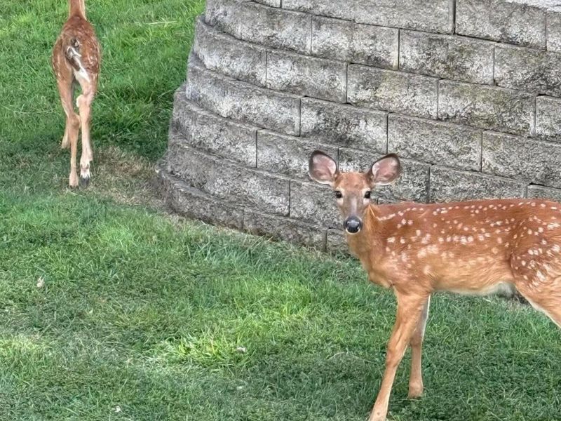 1189 Ridge Road NE, Lancaster, OH 43130 Photo 113