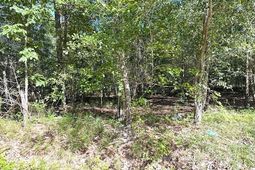 0 A Acorn Lane photo 4