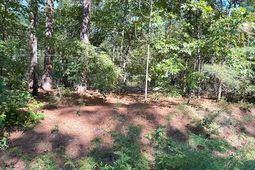 0 A Acorn Lane photo 4