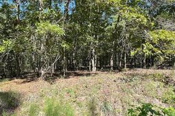 0 A Acorn Lane photo 4