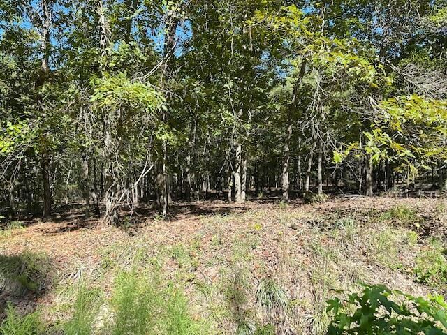 0 B Acorn Lane Photo 5