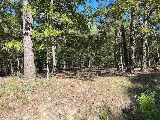 0 B Acorn Lane Photo 6