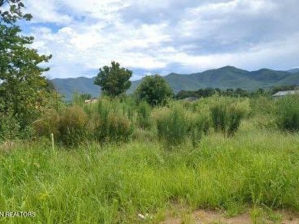 290 Bill Mauk Rd, Chuckey, TN 37641