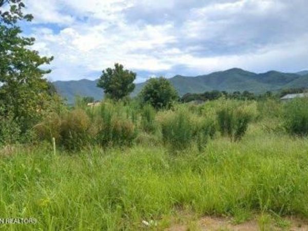 290 Bill Mauk Rd, Chuckey, TN 37641