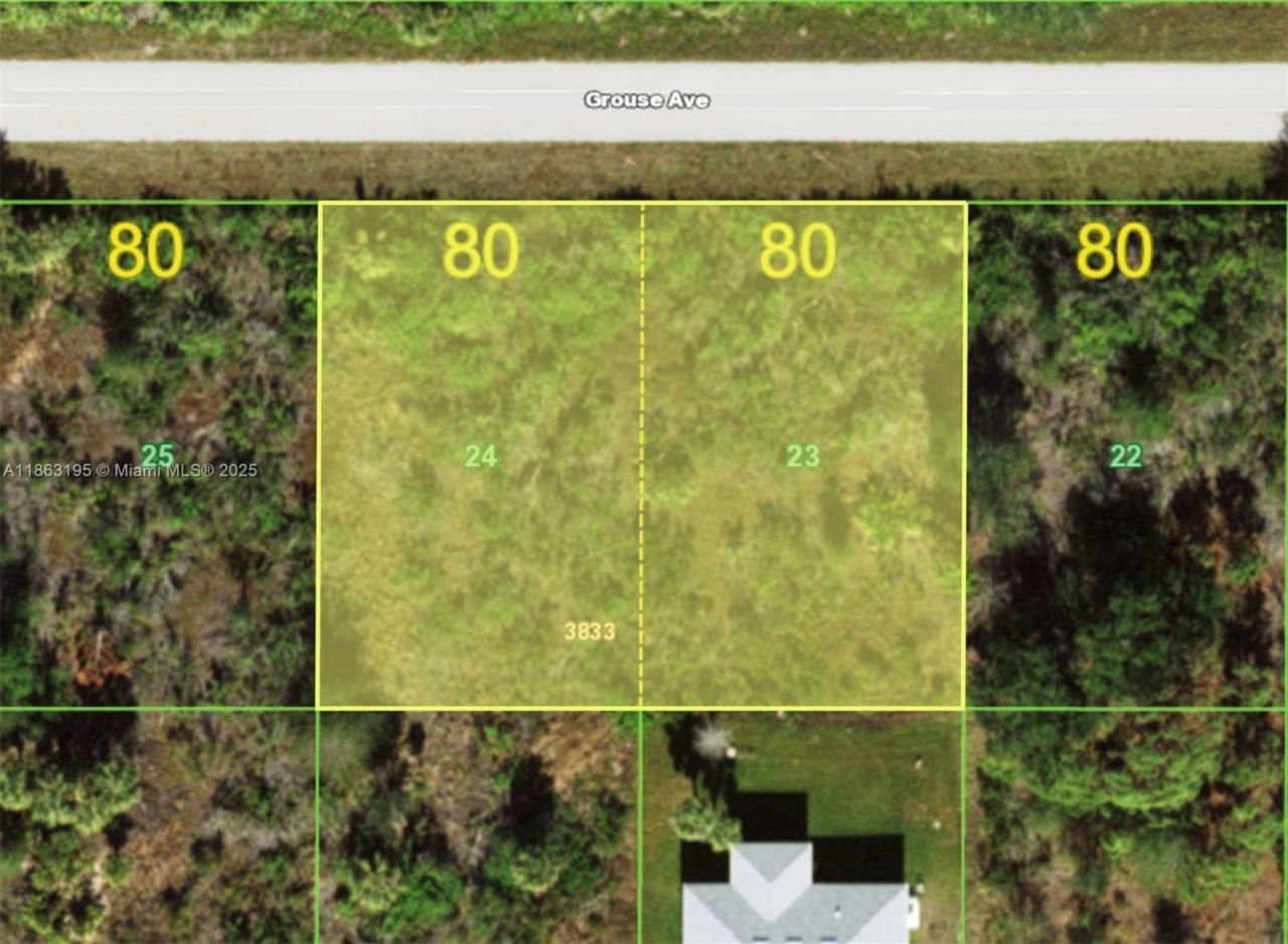 12199 Grouse Ave, Port Charlotte, FL 33981 Photo