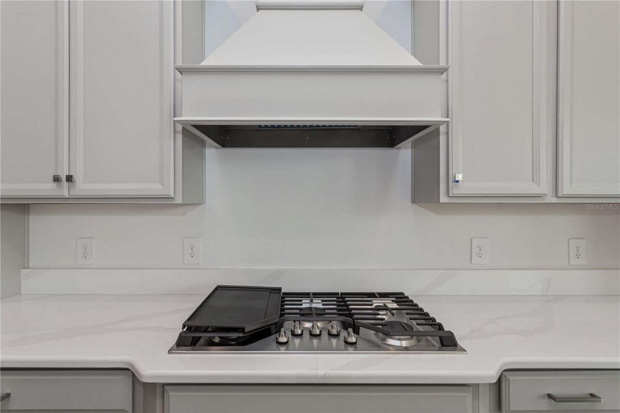 10176 Brocksport Circle, Gotha, FL 34734 Photo