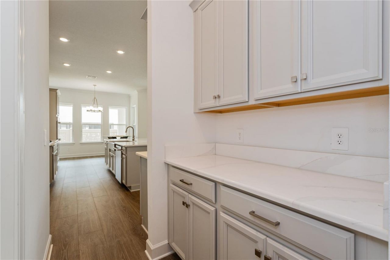 10176 Brocksport Circle, Gotha, FL 34734 Photo