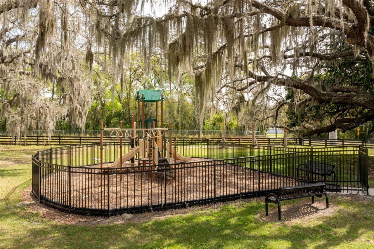 10176 Brocksport Circle, Gotha, FL 34734 Photo