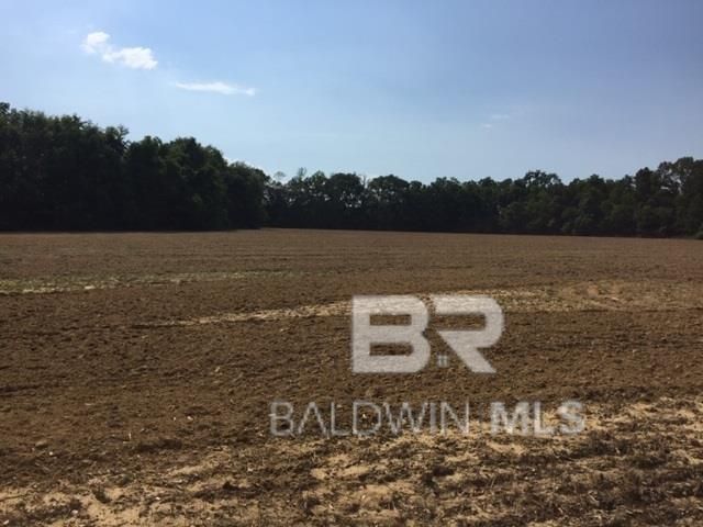 0 County Road 54, Daphne, AL 36526 Main Photo