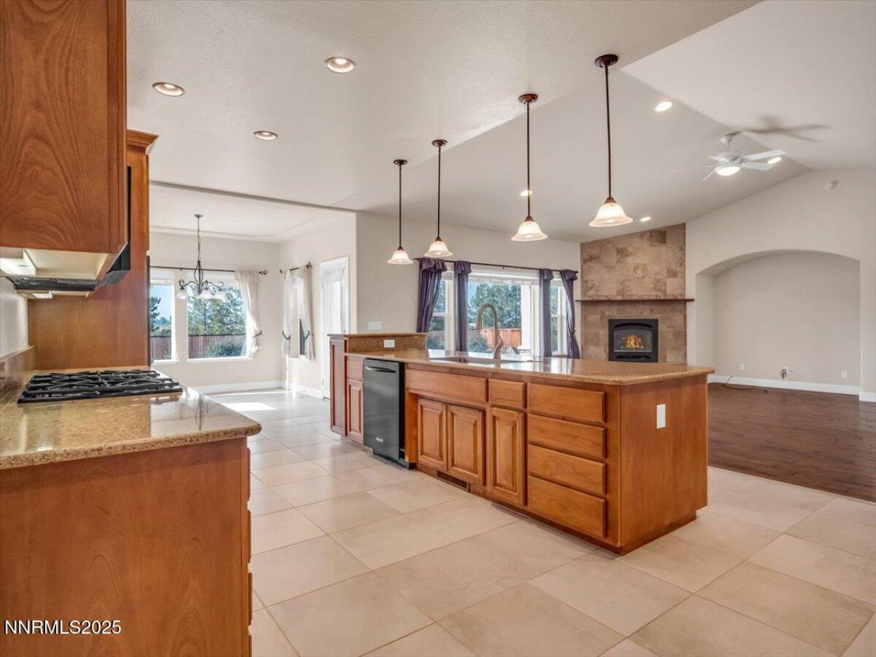 1124 N Fork Trail, Minden, NV 89423 Photo