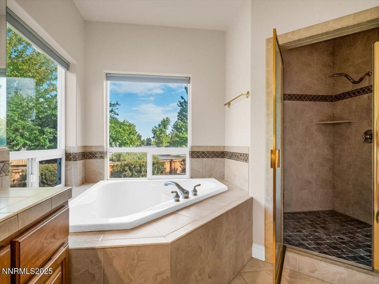 1124 N Fork Trail, Minden, NV 89423 Photo