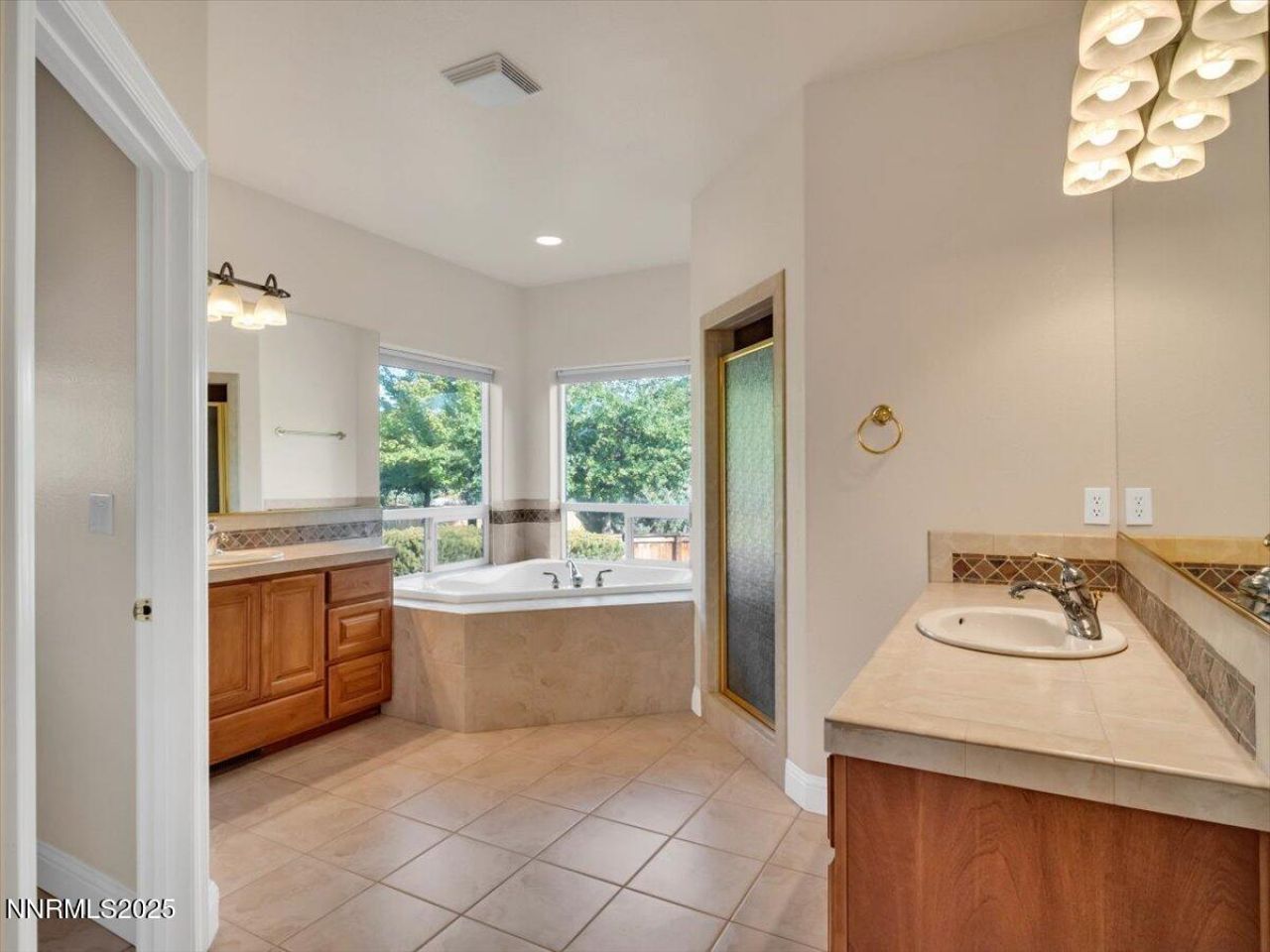 1124 N Fork Trail, Minden, NV 89423 Photo