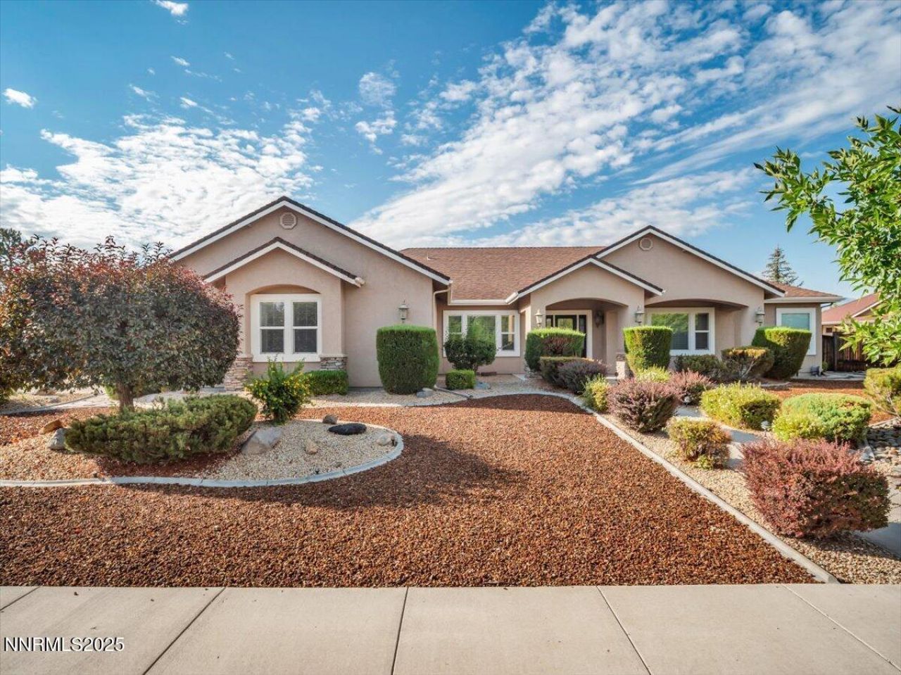 1124 N Fork Trail, Minden, NV 89423 Photo