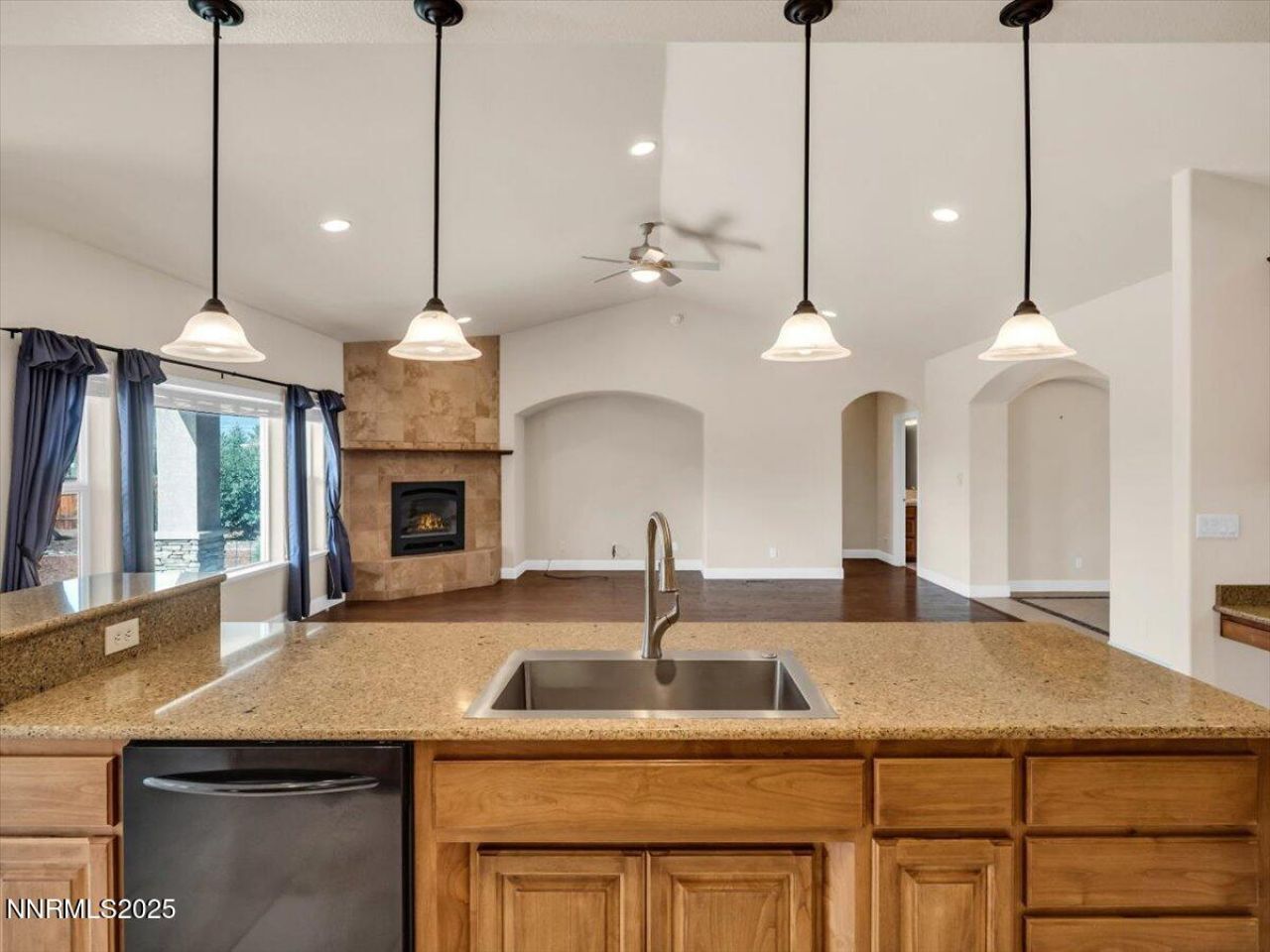 1124 N Fork Trail, Minden, NV 89423 Photo