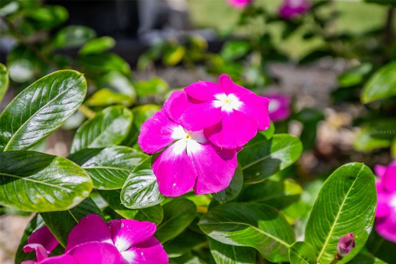 1282 Clearview Drive, Port Charlotte, FL 33953 Photo