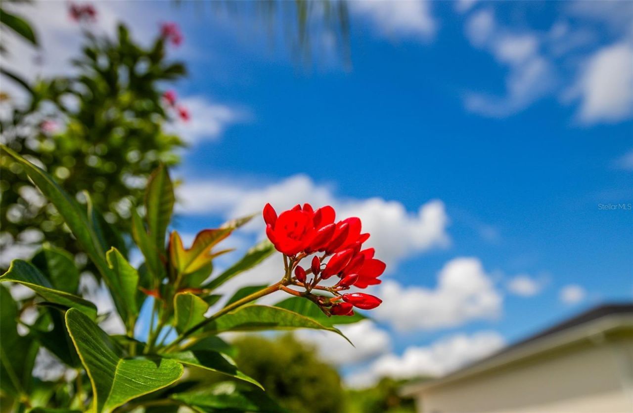 1282 Clearview Drive, Port Charlotte, FL 33953 Photo