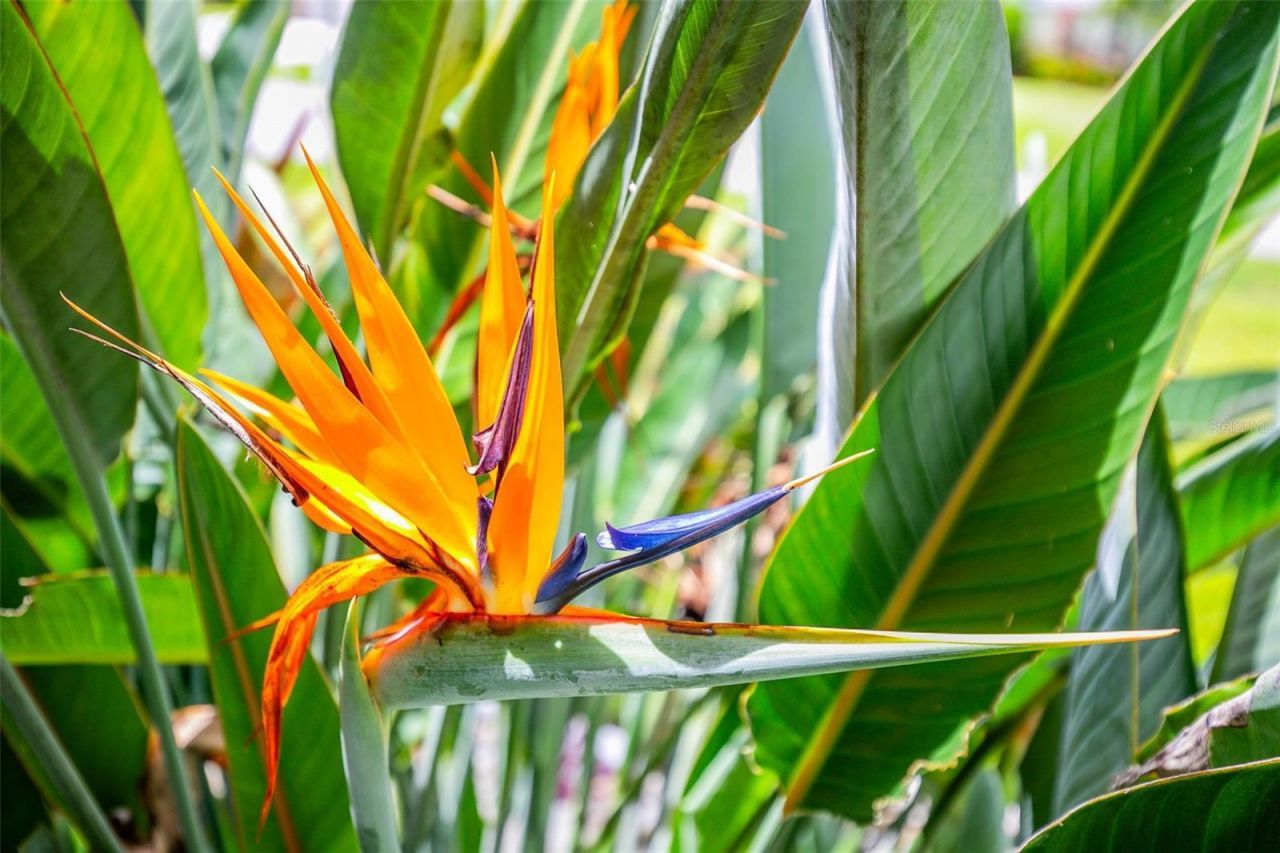 1282 Clearview Drive, Port Charlotte, FL 33953 Photo