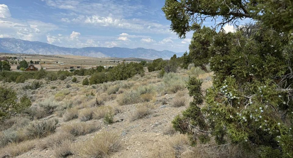 Tbd Old Ranch Road, Lot #2, Gardnerville, NV 89410 Photo