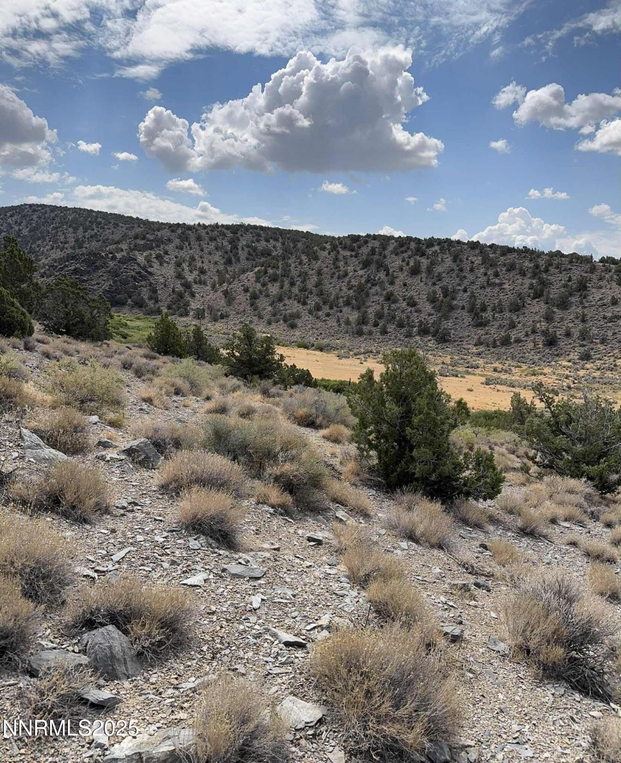 Tbd Old Ranch Road, Lot #2, Gardnerville, NV 89410 Photo