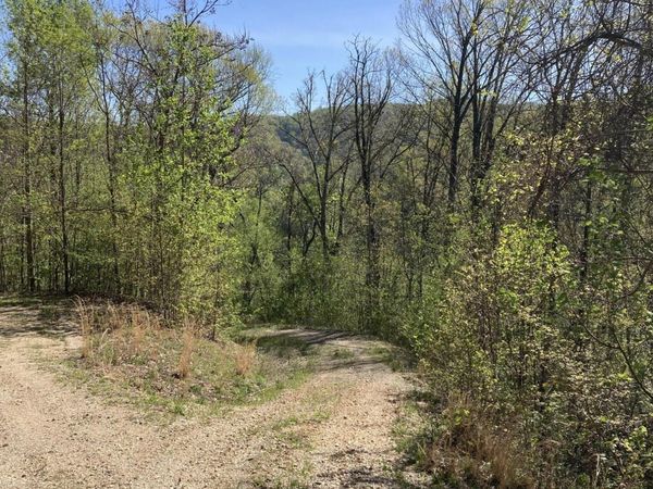 Tbd Tulip Poplar Trail Extension, Butler, TN 37640