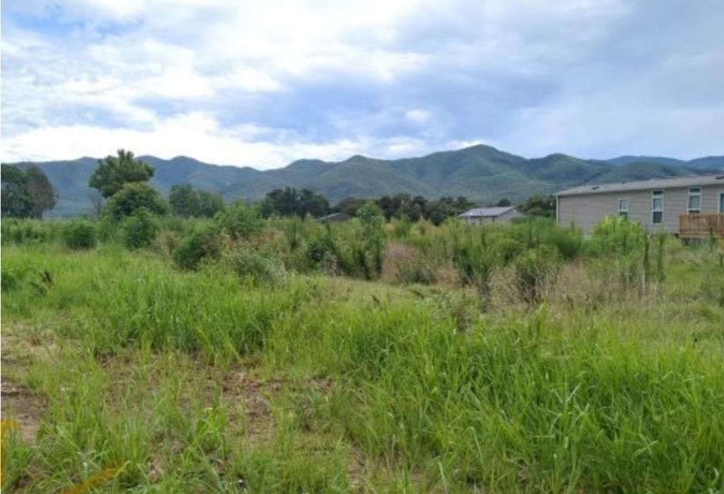 290 Bill Mauk Rd, Jonesborough, TN 37642 Main Photo