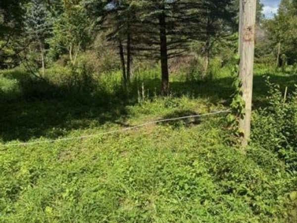 Parcel B Maple Grove, Hastings, MI 49058