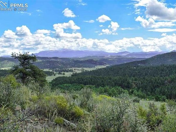 231 Deer Lane, Guffey, CO 80820