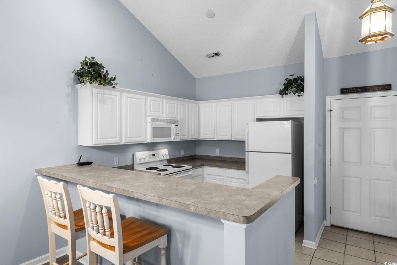 126 Scotch Broom Dr. Photo 10