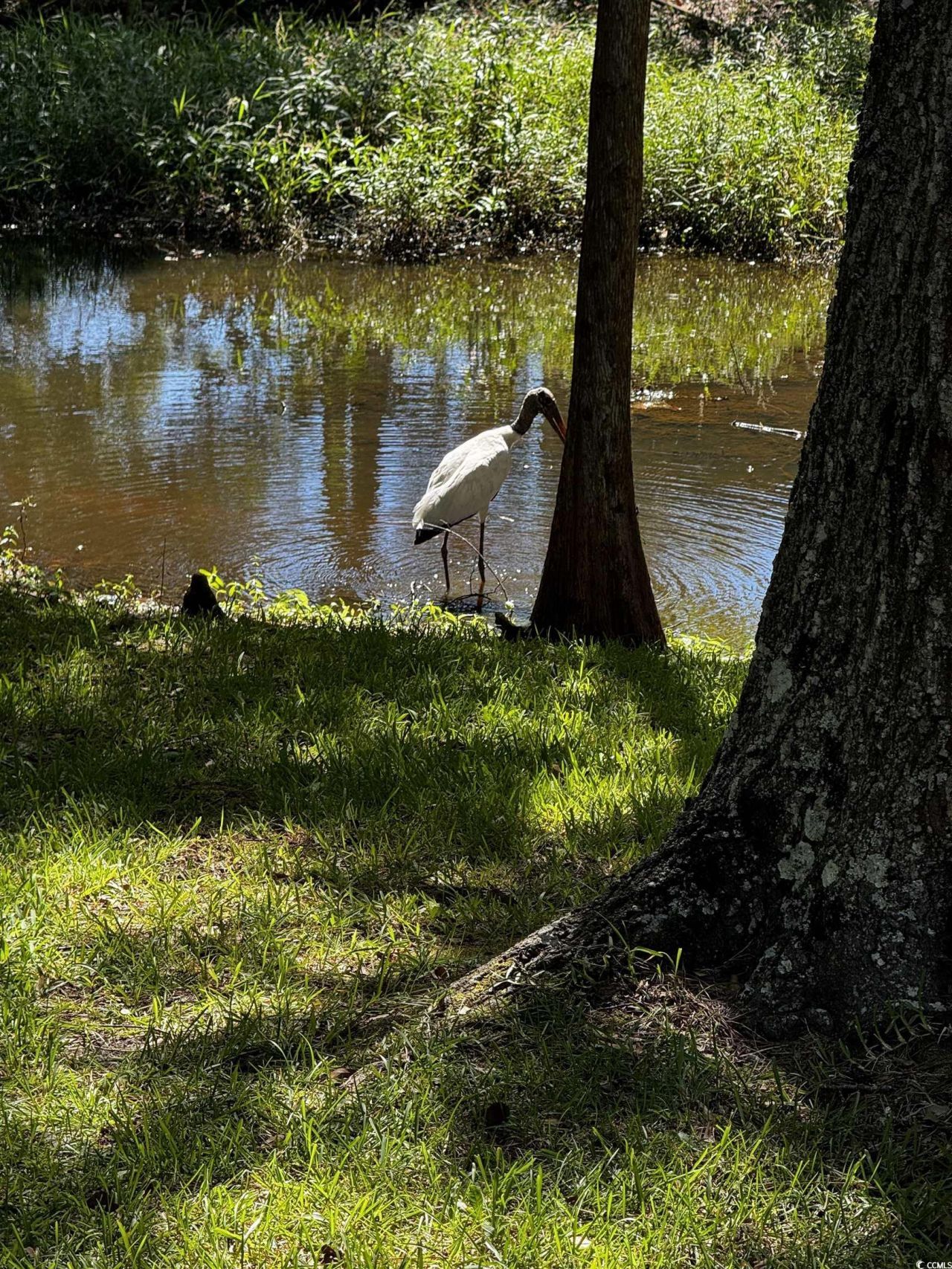 814 Second Ave. Photo 37