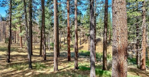 555 Pleasant Valley Road, Markleeville, CA 96120 Photo