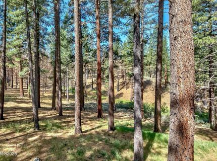 555 Pleasant Valley Road, Markleeville, CA 96120 Photo