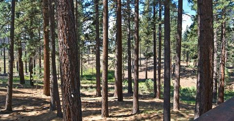 555 Pleasant Valley Road, Markleeville, CA 96120 Photo