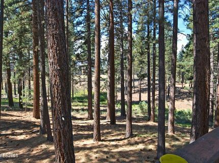 555 Pleasant Valley Road, Markleeville, CA 96120 Photo