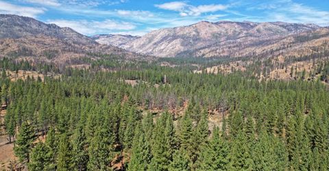 555 Pleasant Valley Road, Markleeville, CA 96120 Photo