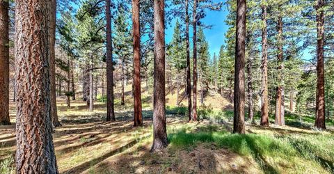 555 Pleasant Valley Road, Markleeville, CA 96120 Photo