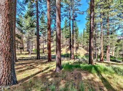 555 Pleasant Valley Road, Markleeville, CA 96120 Photo
