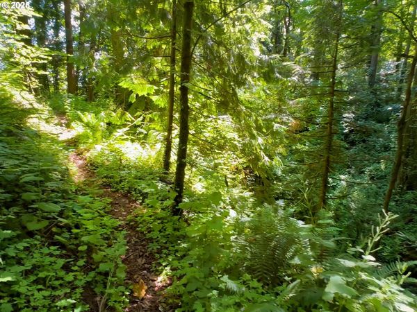 6320 SE ROETHE RD, Milwaukie, OR 97267