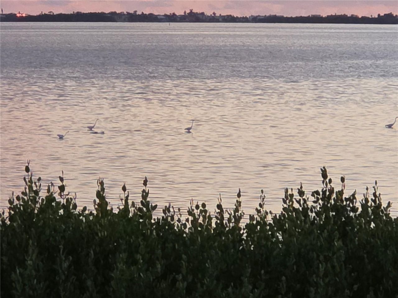 3440 Wild Oak Bay Boulevard, Unit 127, Bradenton, FL 34210 Photo