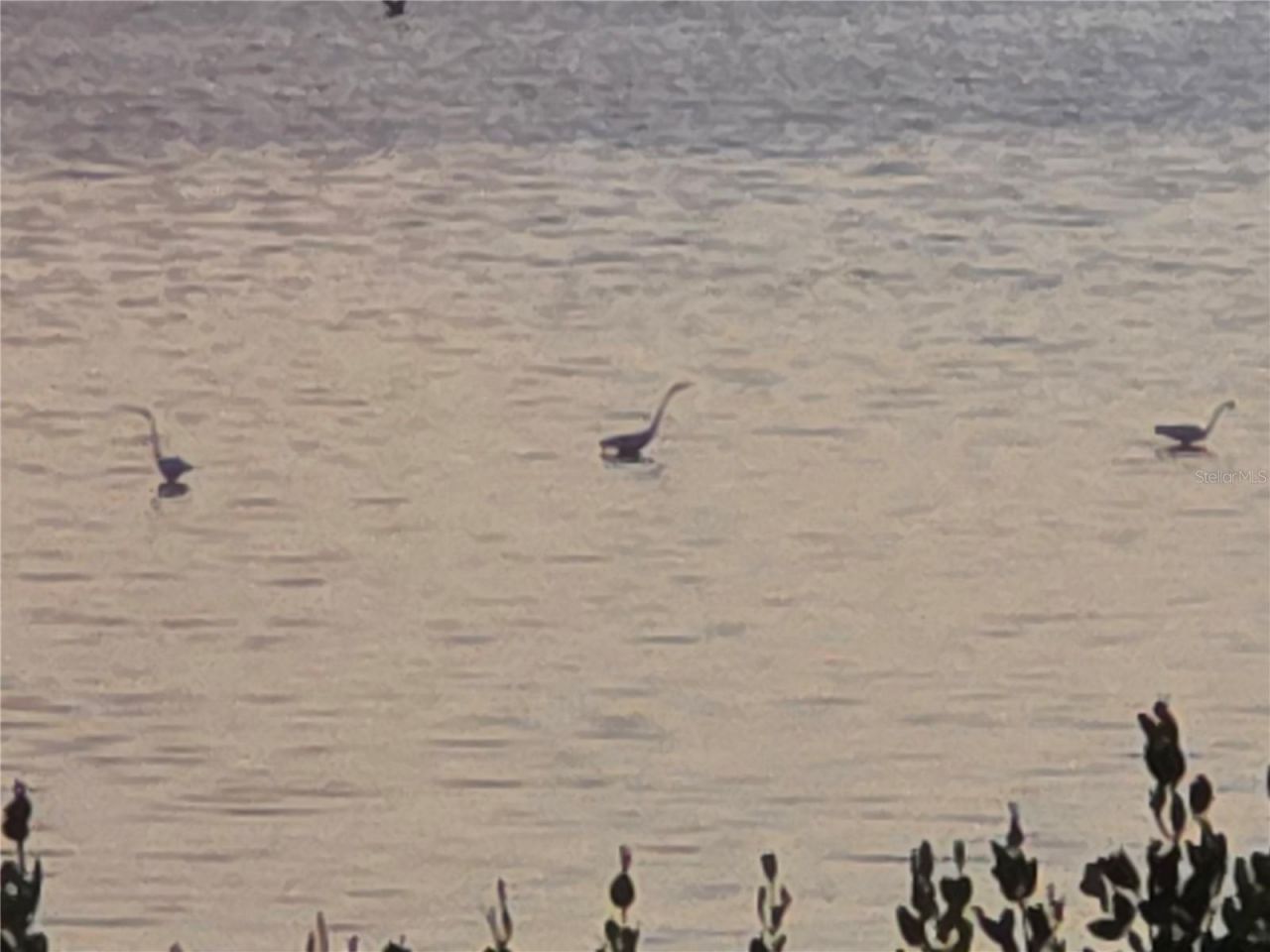 3440 Wild Oak Bay Boulevard, Unit 127, Bradenton, FL 34210 Photo