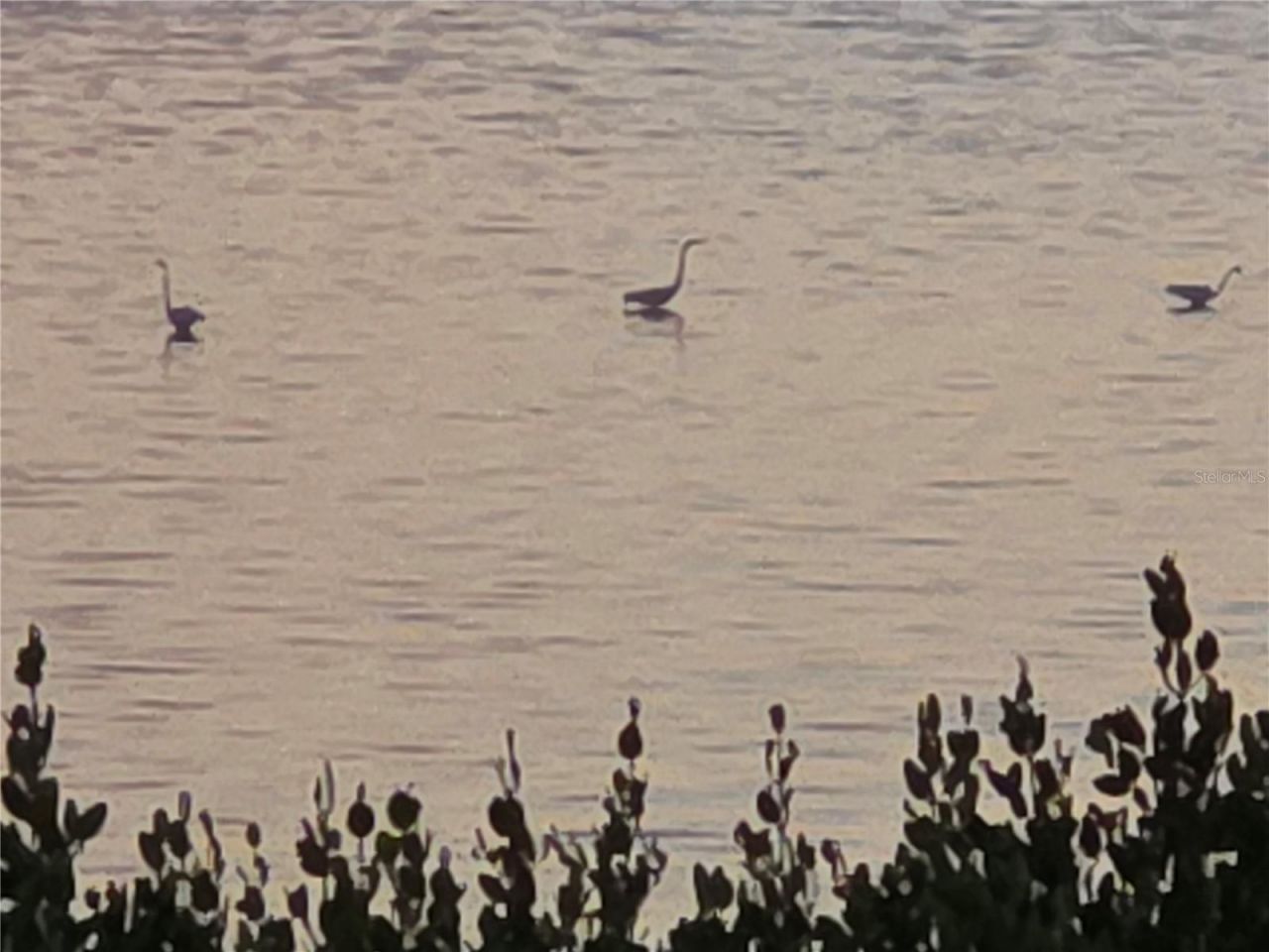 3440 Wild Oak Bay Boulevard, Unit 127, Bradenton, FL 34210 Photo