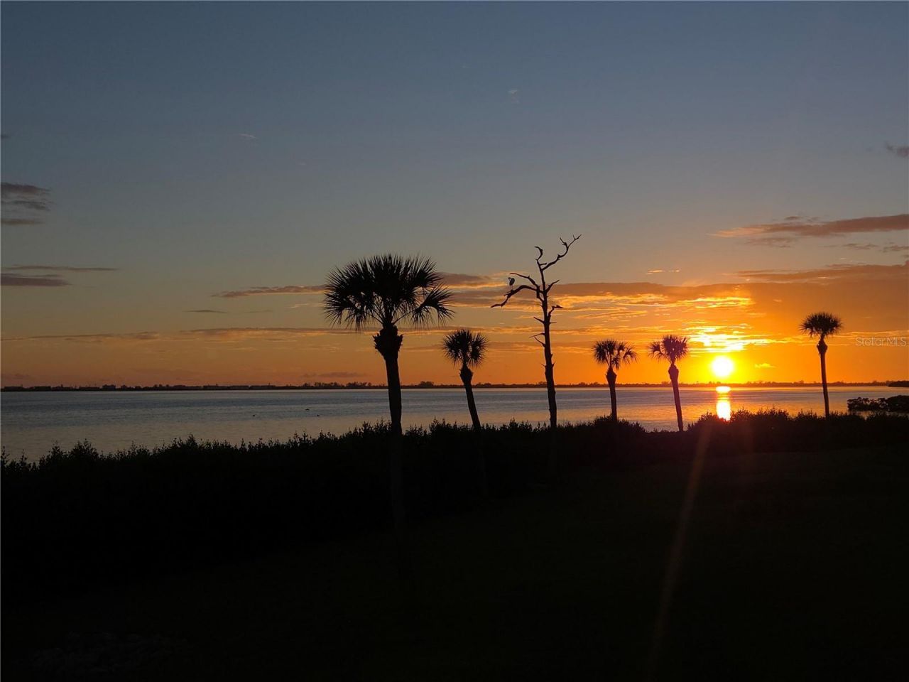 3440 Wild Oak Bay Boulevard, Unit 127, Bradenton, FL 34210 Photo