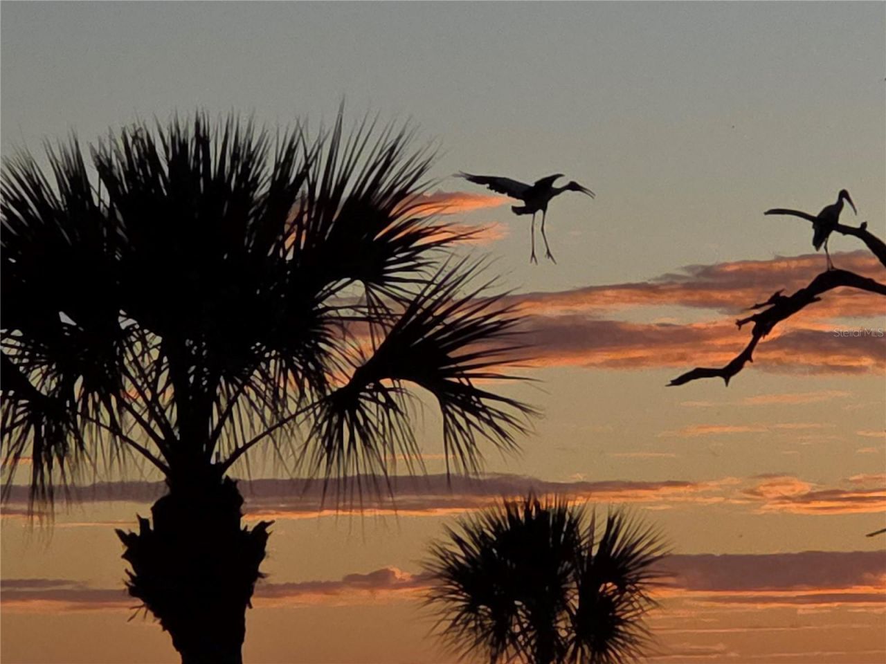 3440 Wild Oak Bay Boulevard, Unit 127, Bradenton, FL 34210 Photo