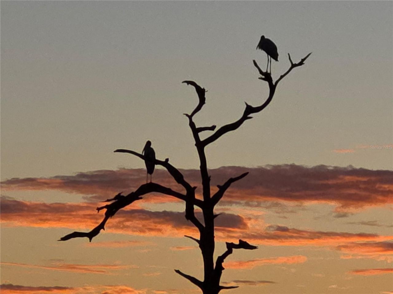 3440 Wild Oak Bay Boulevard, Unit 127, Bradenton, FL 34210 Photo