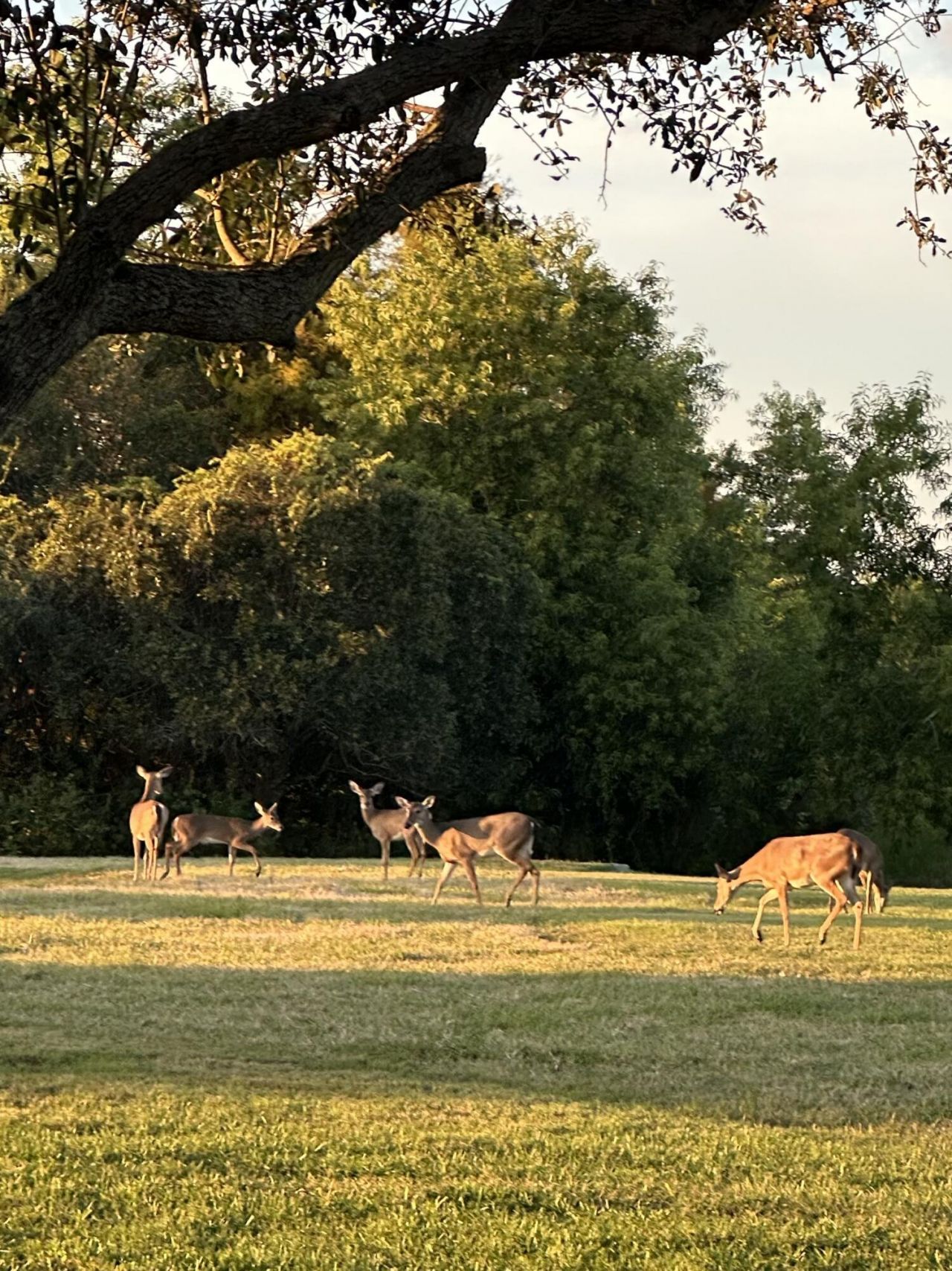 9182 SE Eldorado Way, Hobe Sound, FL 33455 Photo