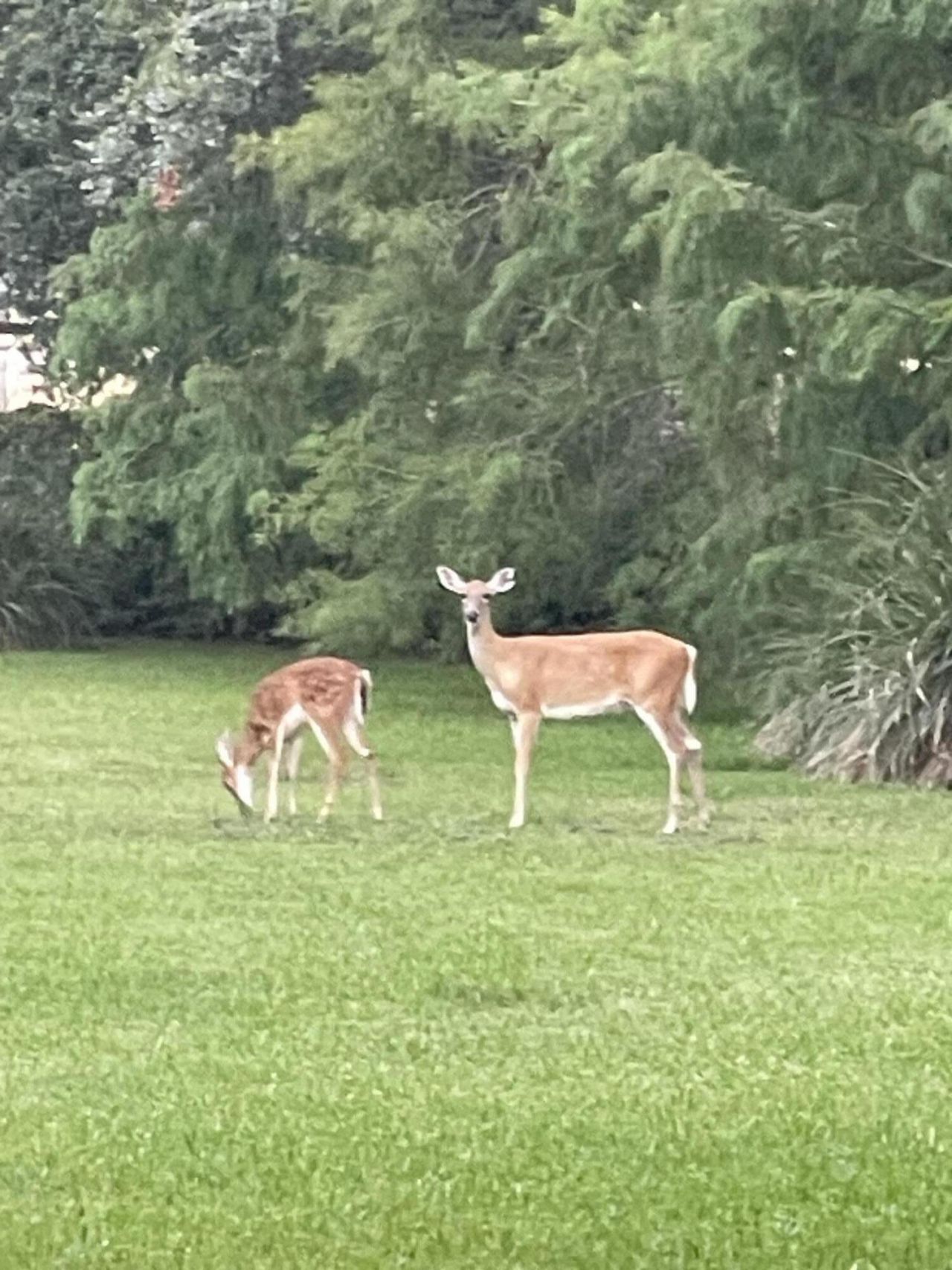 9182 SE Eldorado Way, Hobe Sound, FL 33455 Photo